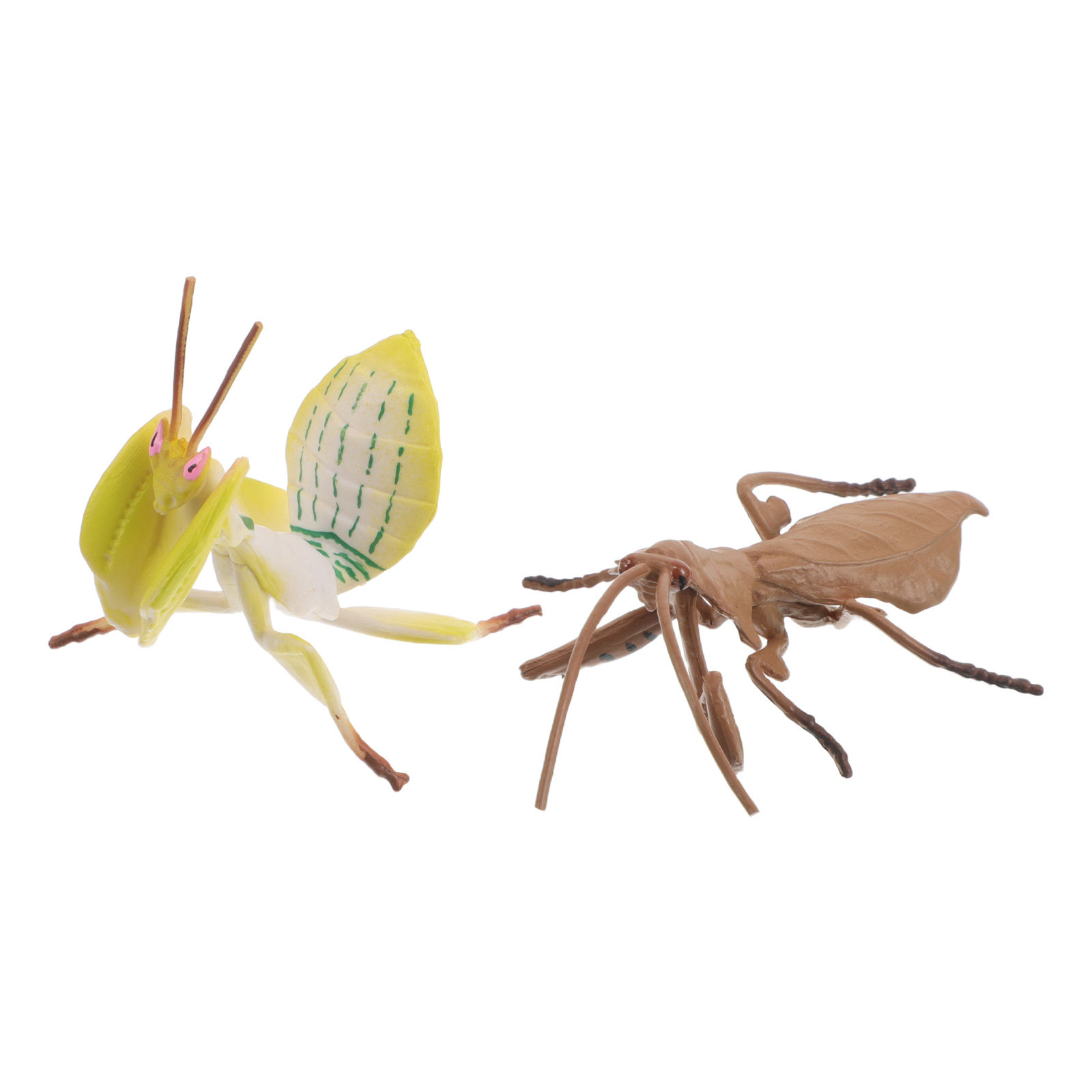2 pièces : figurines réalistes - Science Toy avis et prix