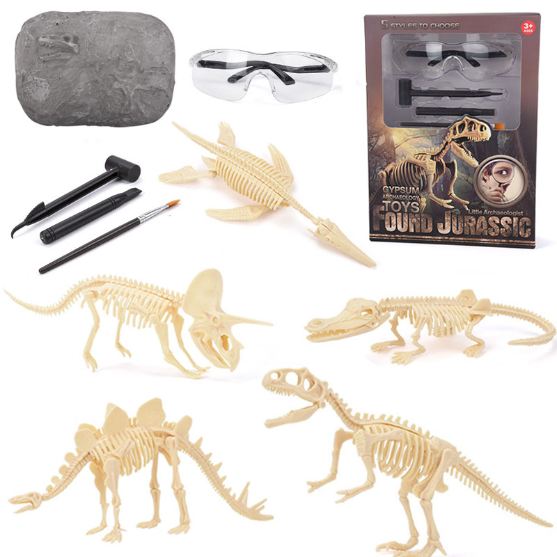 Kit d'excavation de fossiles d - Science Toy avis et prix