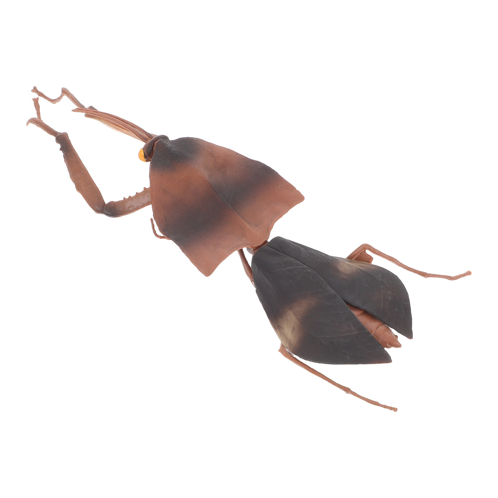Mante religieuse feuille morte - Science Toy avis et prix