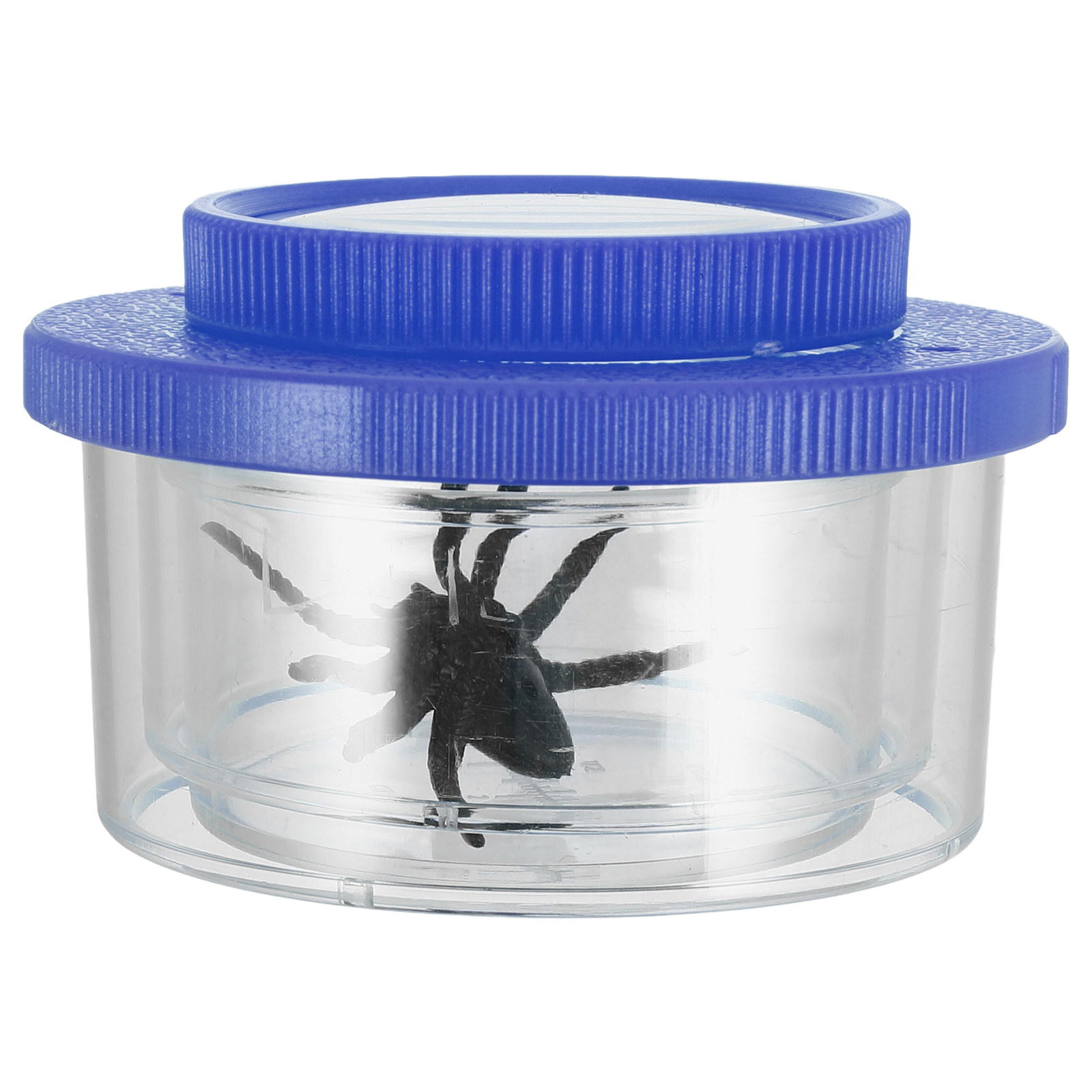 Kit d'observation d'insectes t - Science Toy avis et prix